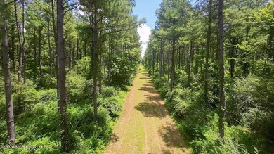 Set across 397 acres in Jefferson Davis County, Mississippi - photo 14