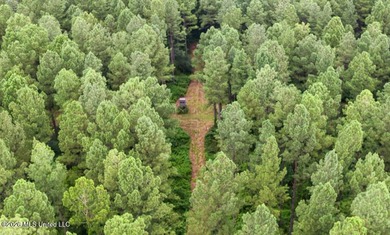 Set across 397 acres in Jefferson Davis County, Mississippi - photo 15