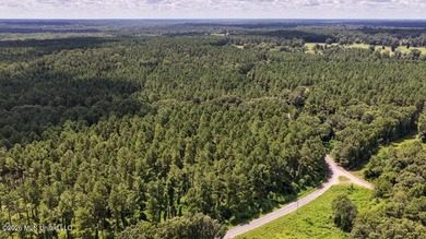 Set across 397 acres in Jefferson Davis County, Mississippi - photo 16