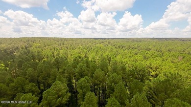 Set across 397 acres in Jefferson Davis County, Mississippi - photo 17
