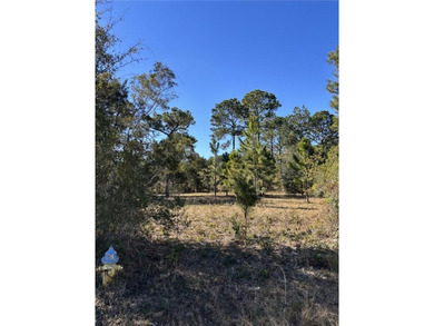 Beautiful double lot on Dufour Road in St. Marys offering marsh - photo 1