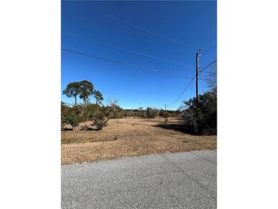 Beautiful double lot on Dufour Road in St. Marys offering marsh - photo 2