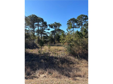 Beautiful double lot on Dufour Road in St. Marys offering marsh - photo 3