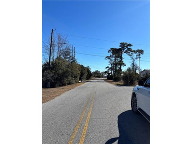 Beautiful double lot on Dufour Road in St. Marys offering marsh - photo 4