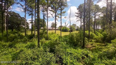 Set across 397 acres in Jefferson Davis County, Mississippi - photo 41