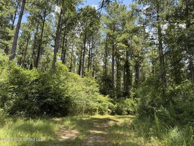 Set across 397 acres in Jefferson Davis County, Mississippi - photo 43