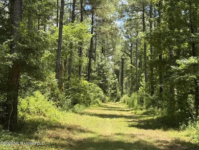 Set across 397 acres in Jefferson Davis County, Mississippi - photo 45
