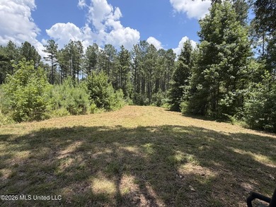 Set across 397 acres in Jefferson Davis County, Mississippi - photo 46