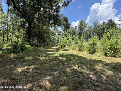 Set across 397 acres in Jefferson Davis County, Mississippi - photo 47