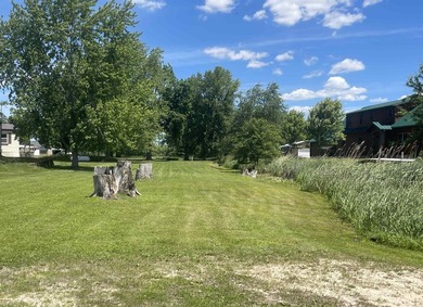 Can you say *Lake Life*? This rare Lake Puckaway property - photo 48