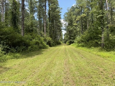 Set across 397 acres in Jefferson Davis County, Mississippi - photo 49