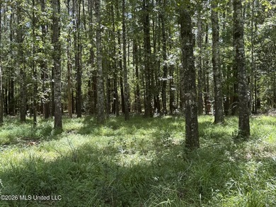 Set across 397 acres in Jefferson Davis County, Mississippi - photo 50