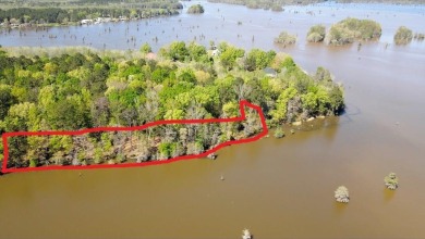 Lake Lot For Sale in Cobb, Georgia