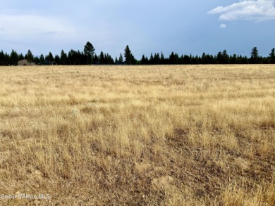 Lake Acreage For Sale in Rathdrum, Idaho