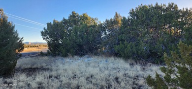 Concho Lake Commercial For Sale in Concho Arizona