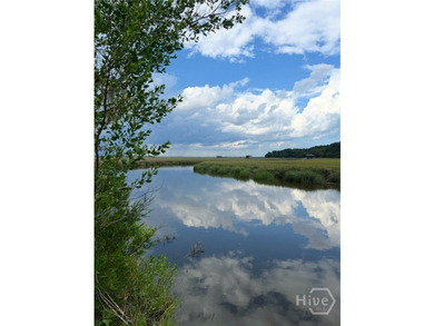 Over 19 acre paradise with a private island, bridge and dock - photo 4