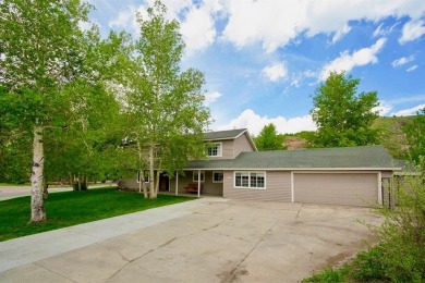 Lake Home For Sale in Dillon, Colorado