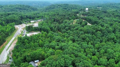 A rare opportunity awaits with nearly 28 acres in the foothills - photo 11