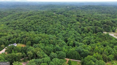 A rare opportunity awaits with nearly 28 acres in the foothills - photo 12