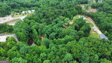 A rare opportunity awaits with nearly 28 acres in the foothills - photo 13