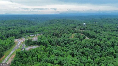 A rare opportunity awaits with nearly 28 acres in the foothills - photo 16