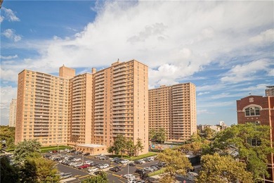 Trump Village, Section 3 - Spacious 1BR with Balcony

Bright