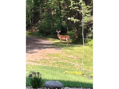 Seeking privacy? This is it! Escape to your own private retreat