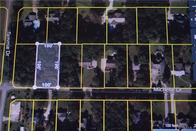If you're looking for property in the Lakeview/McCalla area - photo 3