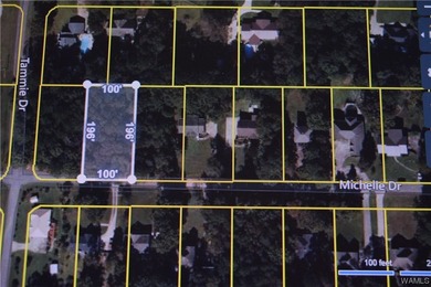 If you're looking for property in the Lakeview/McCalla area - photo 4