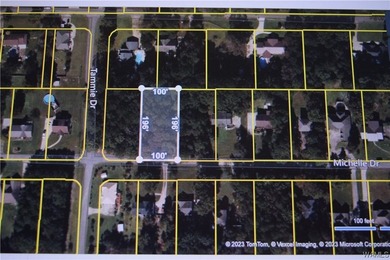 If you're looking for property in the Lakeview/McCalla area - photo 5