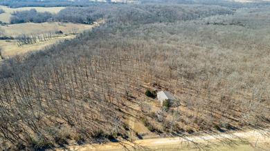 (private lake, pond, coastal) Home For Sale in Long Lane Missouri