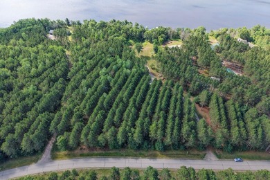Enjoy spectacular Lake Petenwell views from this private and - photo 11