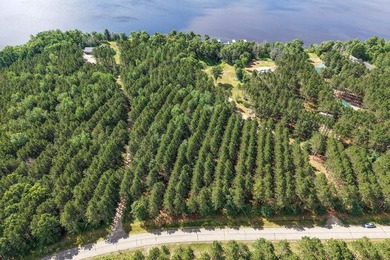 Enjoy spectacular Lake Petenwell views from this private and - photo 13