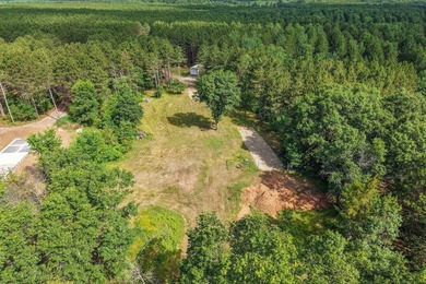 Enjoy spectacular Lake Petenwell views from this private and - photo 15