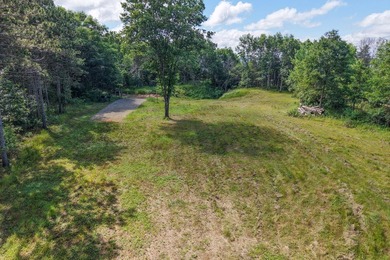 Enjoy spectacular Lake Petenwell views from this private and - photo 16