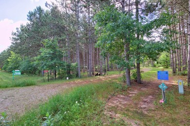 Enjoy spectacular Lake Petenwell views from this private and - photo 18