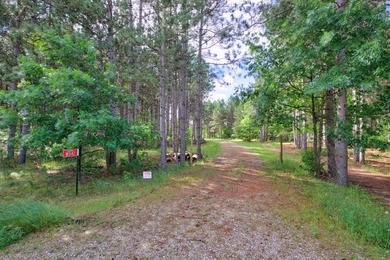 Enjoy spectacular Lake Petenwell views from this private and - photo 19