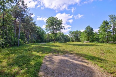 Enjoy spectacular Lake Petenwell views from this private and - photo 22