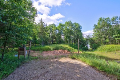 Enjoy spectacular Lake Petenwell views from this private and - photo 24
