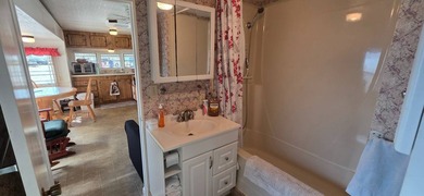 751 10th St E Lot 46 Palmetto FL. 34221 Palm Bay Mobile Home and - photo 6