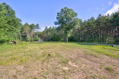 Enjoy spectacular Lake Petenwell views from this private and - photo 28