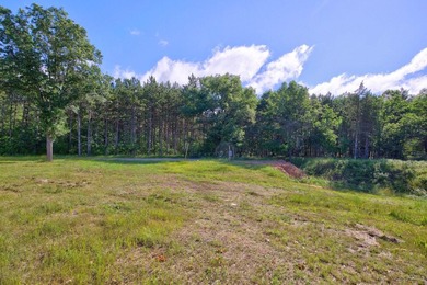 Enjoy spectacular Lake Petenwell views from this private and - photo 29