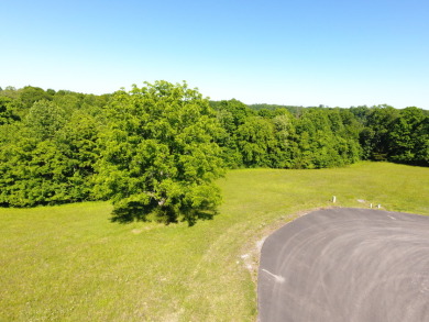 This level 1.1-acre gently sloping lot in the Parks Ridge - photo 1