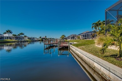 Luxurious Southern facing Gulf Access property overlooking extra - photo 50