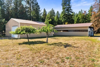 210 Cherry Ln sits at the quiet end of the road in Moyie Springs