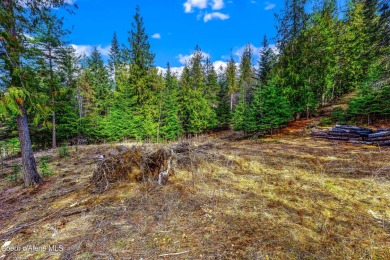 Lake Lot For Sale in Sandpoint, Idaho