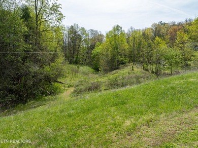 2 Acres to be subdivided in Dry Valley! This rare offering is an - photo 13