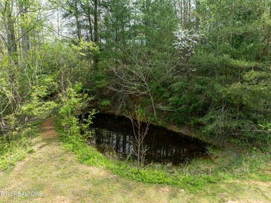 2 Acres to be subdivided in Dry Valley! This rare offering is an - photo 19