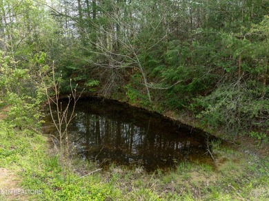 2 Acres to be subdivided in Dry Valley! This rare offering is an - photo 20