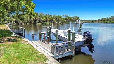 Boat Dock - CHECK!! Boat Lift - CHECK!! Sawgrass View - CHECK!! - photo 34